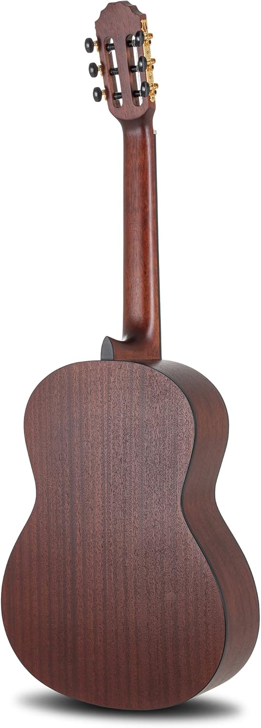 Luthier Manuel Rodríguez Caballero Principio trasera, clásico flamenco